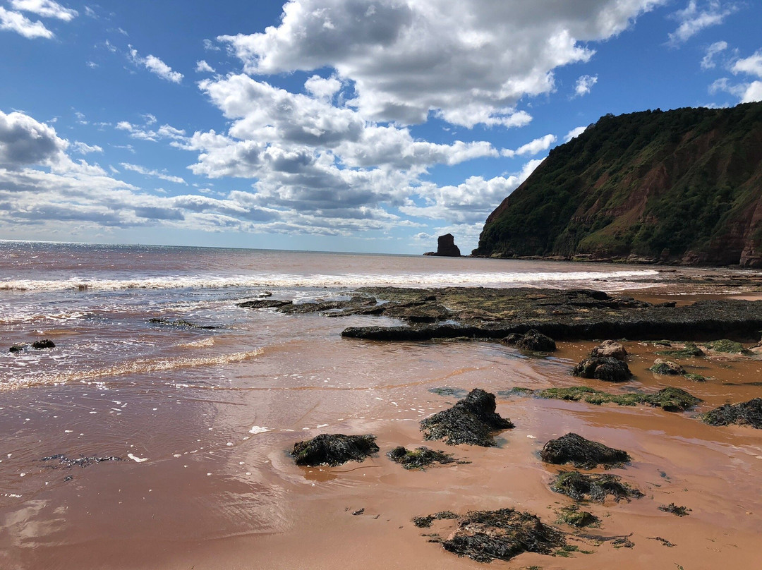 Farmhouse Cottage Bed and Breakfast主图