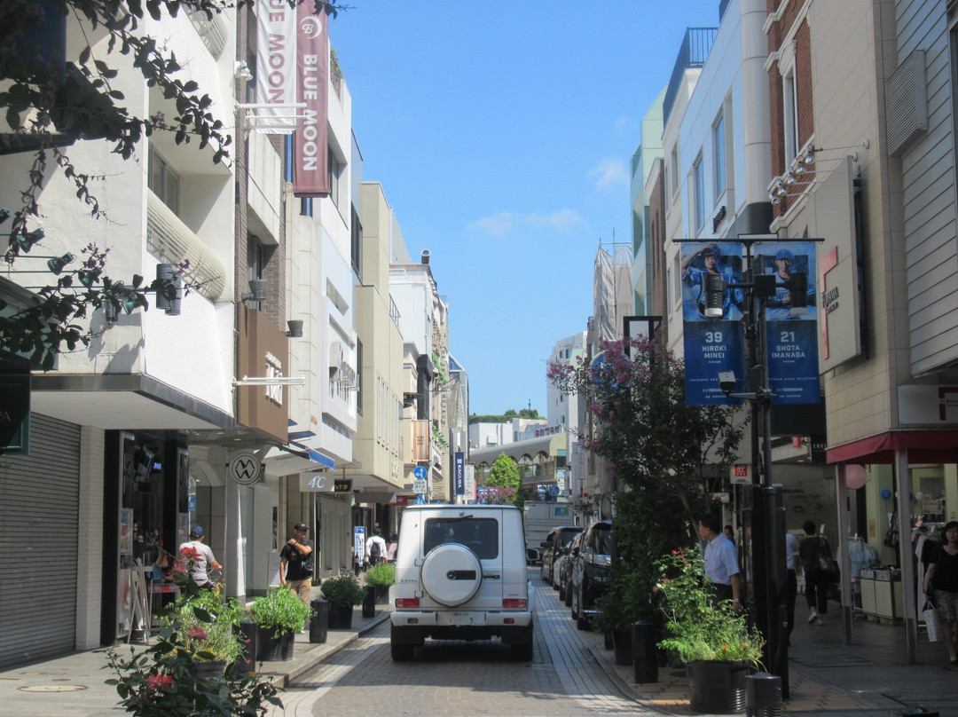 Yokohama Motomachi Shopping Street景点图片