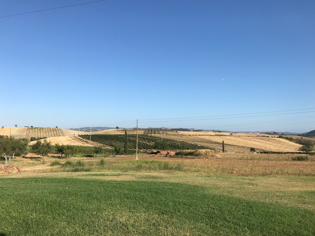 Agriturismo Il Marciatoio主图