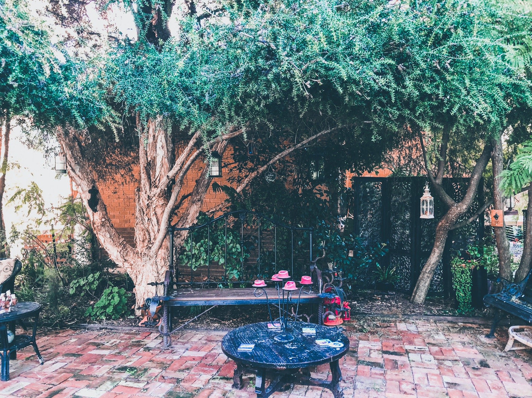 Cottages on Edward主图