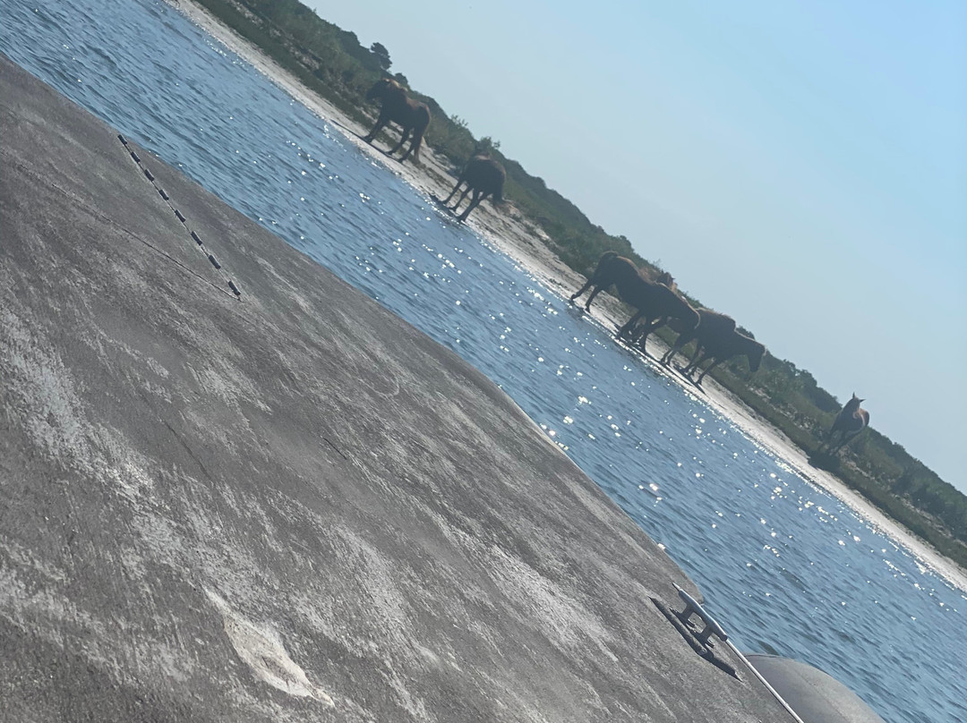 West OC Watersports-大洋城必去景点