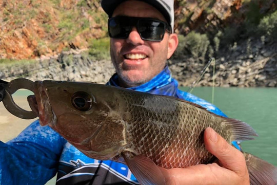 Unreel Adventures-布鲁姆必去景点