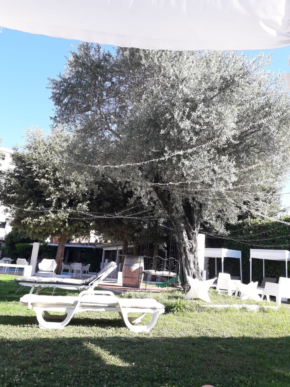 Grand Hotel Irpinia-泳池