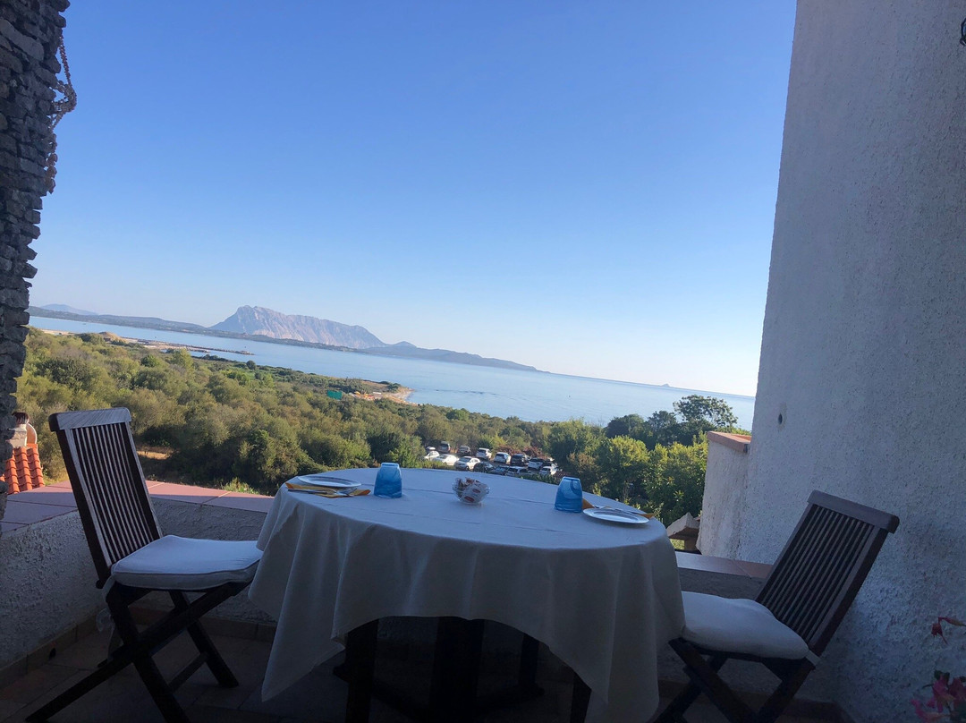 Villa Minda Lodges & View主图