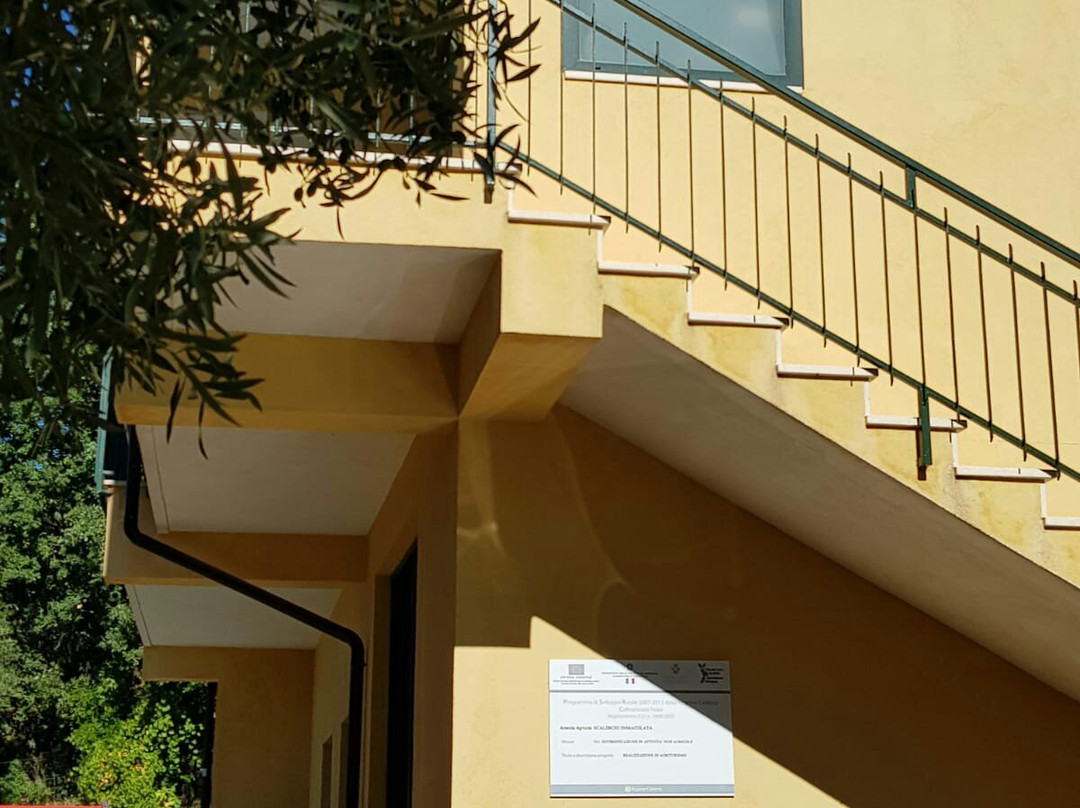 Agriturismo La Turritella主图