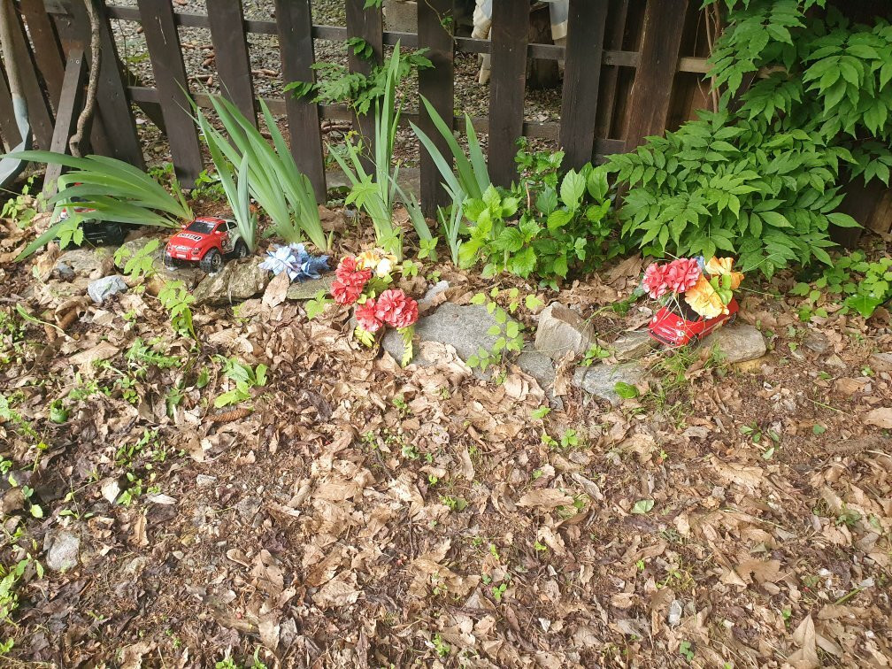 Roburent旅游攻略图片