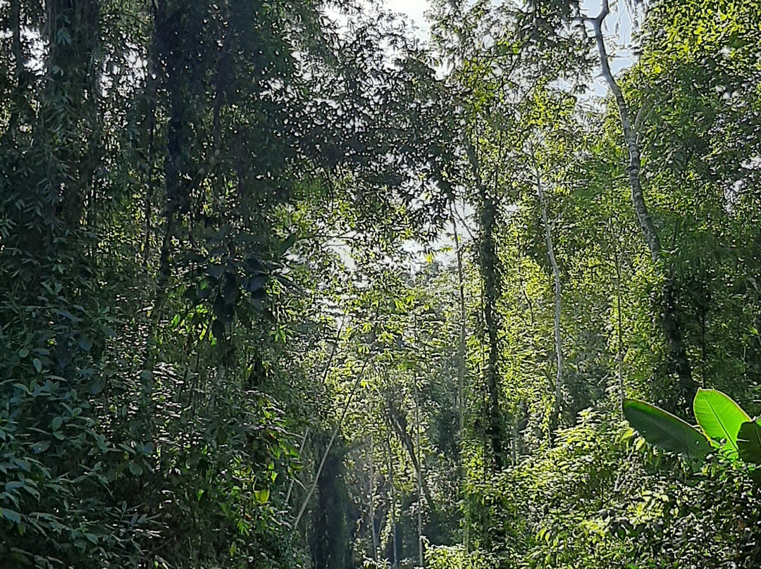 Praia Massaguacu-Caraguatatuba必去景点