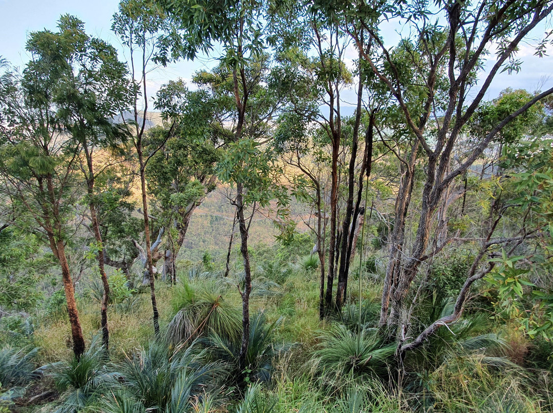 Grasstree Lookout-罗克汉普顿必去景点