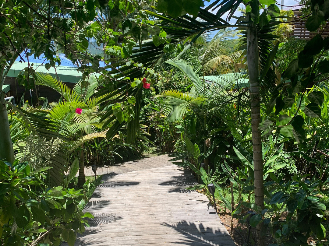 Eden Paradise Spa Ecolodge主图