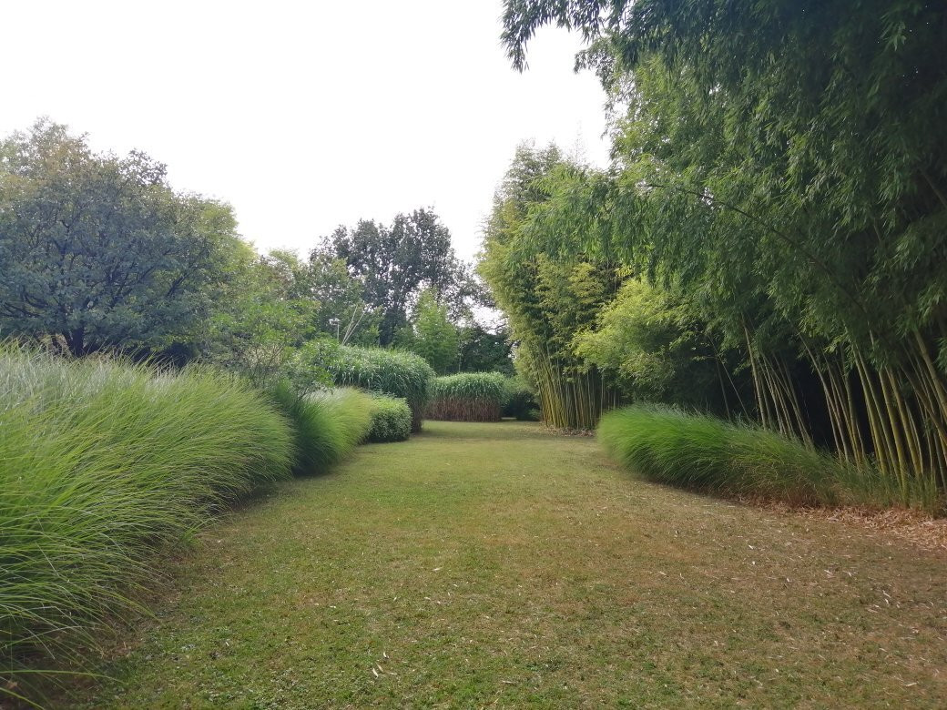 Le Parc aux Bambous-Lapenne必去景点
