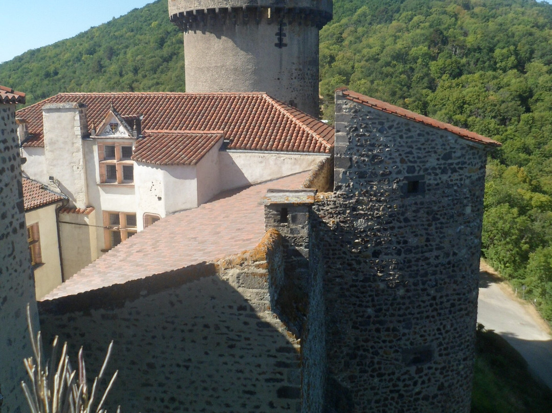 Château de Tournoël景点图片