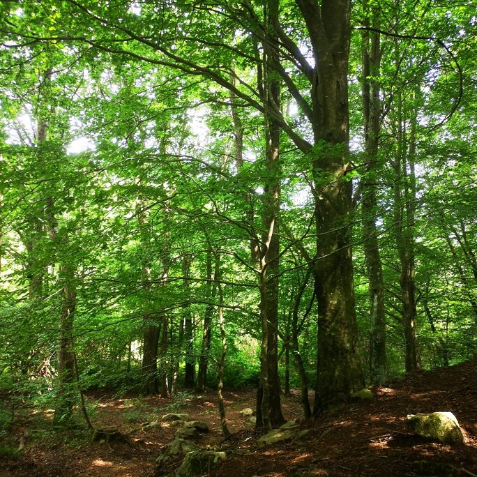 Santa Fe de Montseny旅游攻略图片