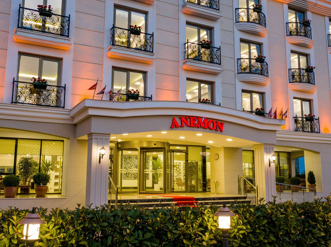 Anemon Diyarbakir主图