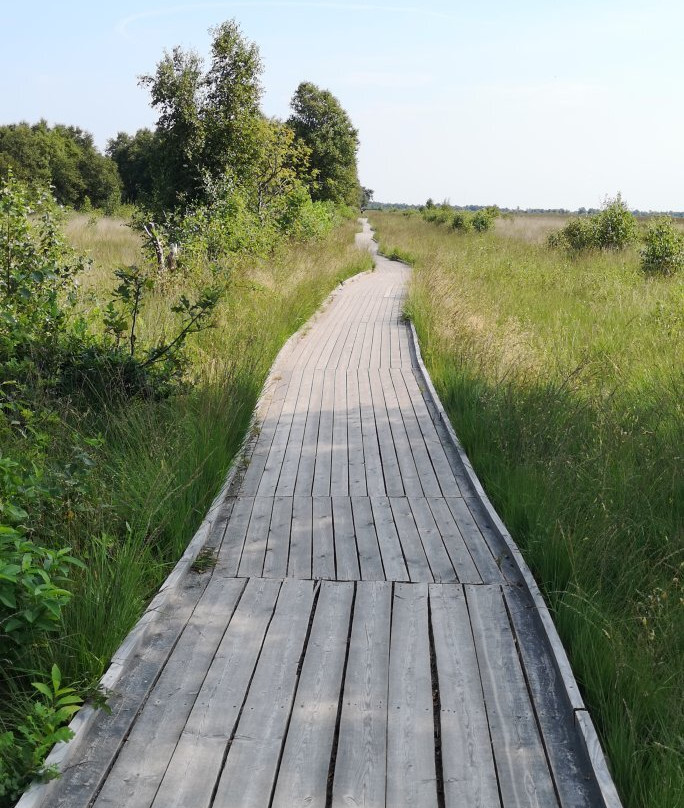 Ewiges Meer-Dornum必去景点