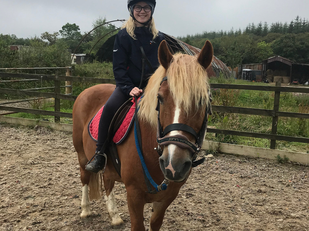 Garlands Farm Trekking and Horse Riding Centre-Highampton必去景点