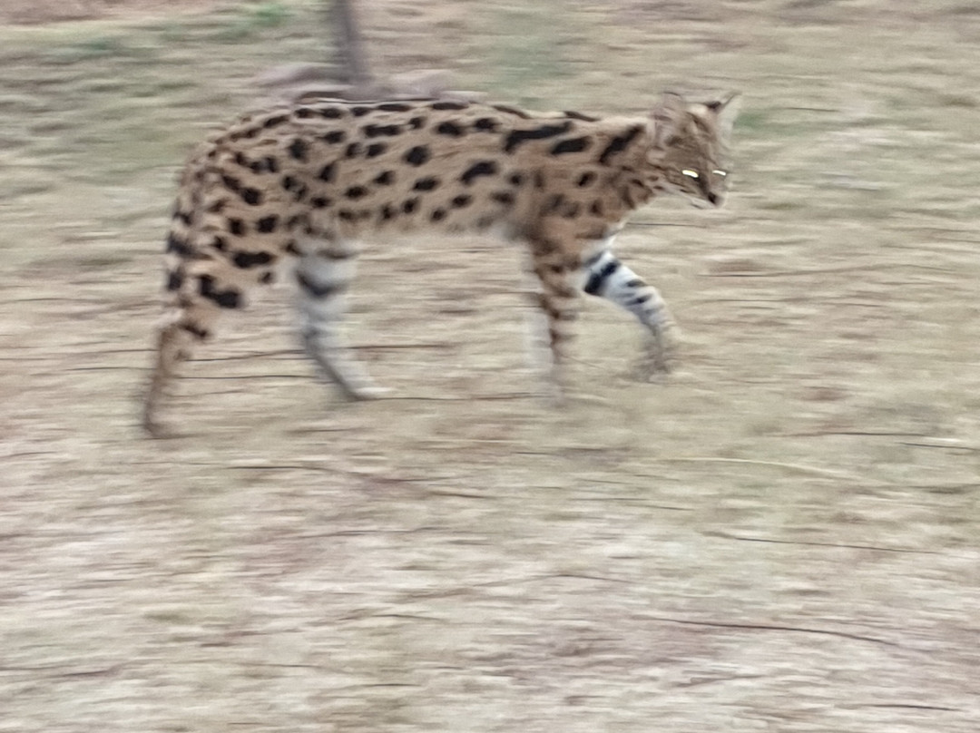 Horseback Africa-比勒陀利亚必去景点