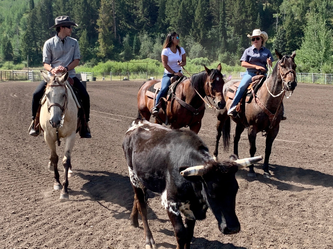 Introduction To Rodeo-威尔逊必去景点