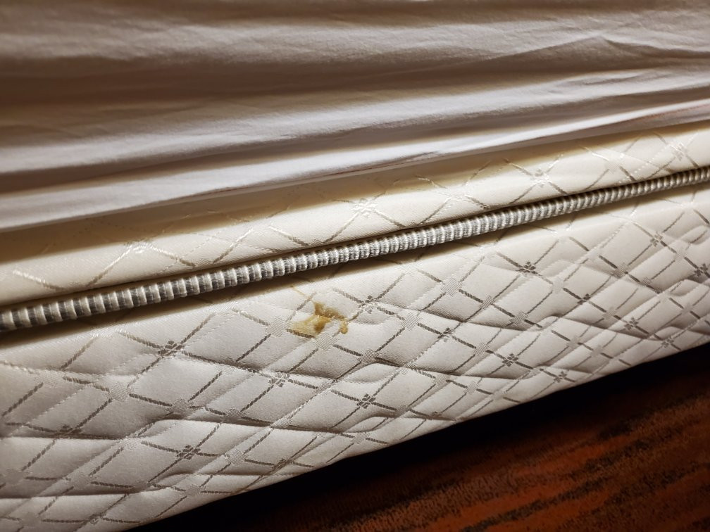 Hampton Inn & Suites St. Louis/chesterfield主图