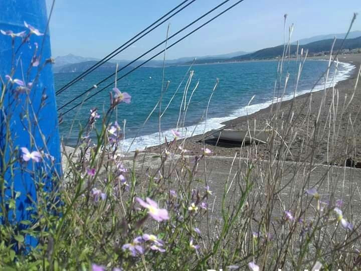 Agia Anna Beach-Agkali必去景点