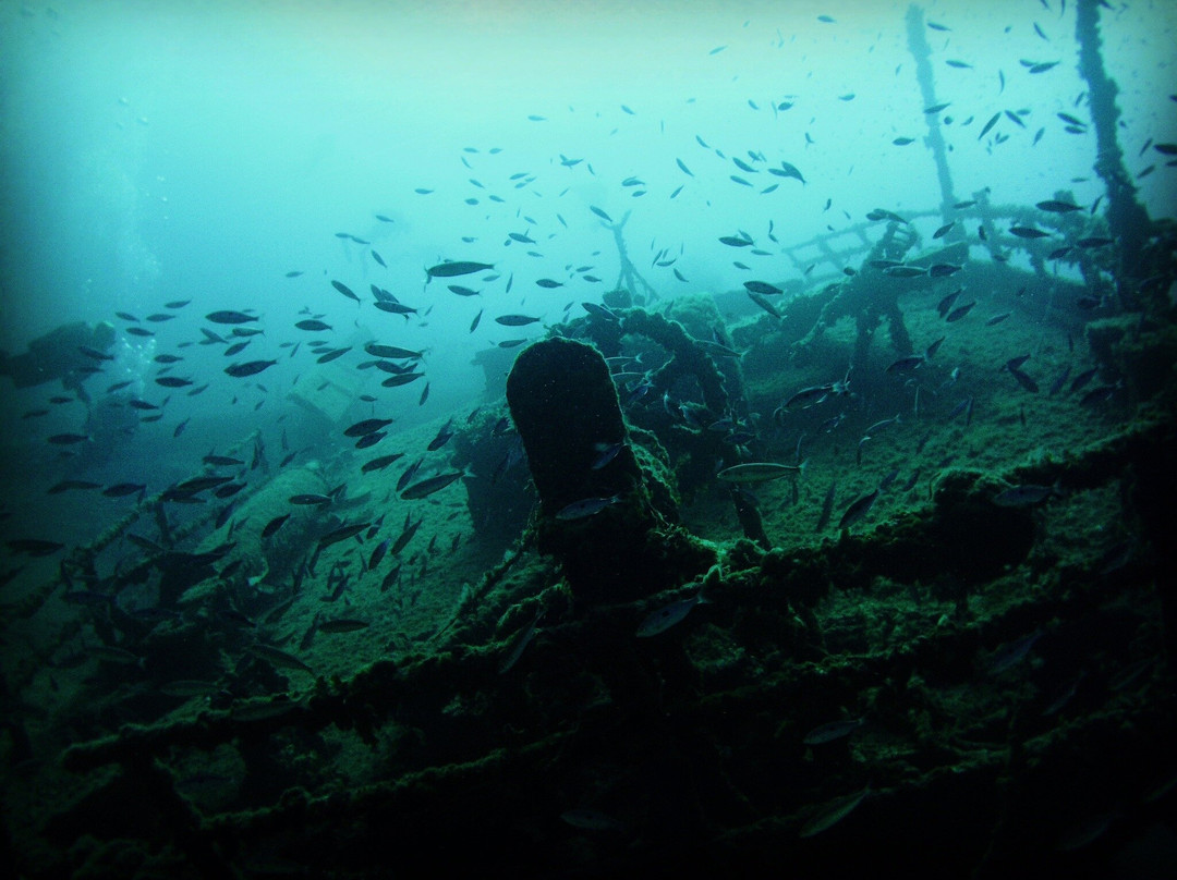 B-24 Diving Center景点图片