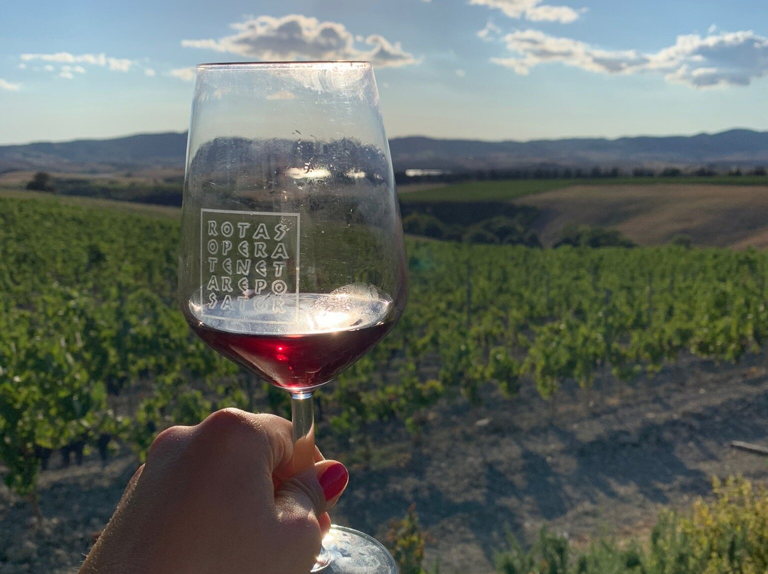 Gianni Moscardini Winery景点图片