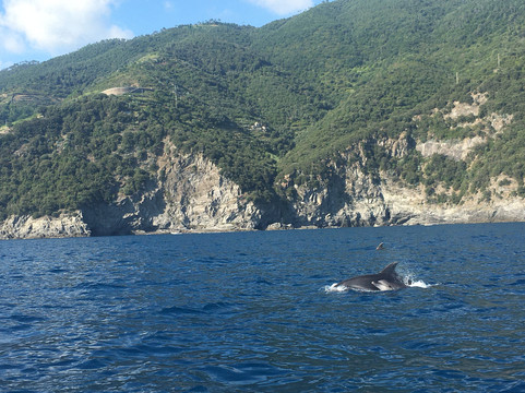 Cinqueterre Boat Tour-里奥马焦雷必去景点