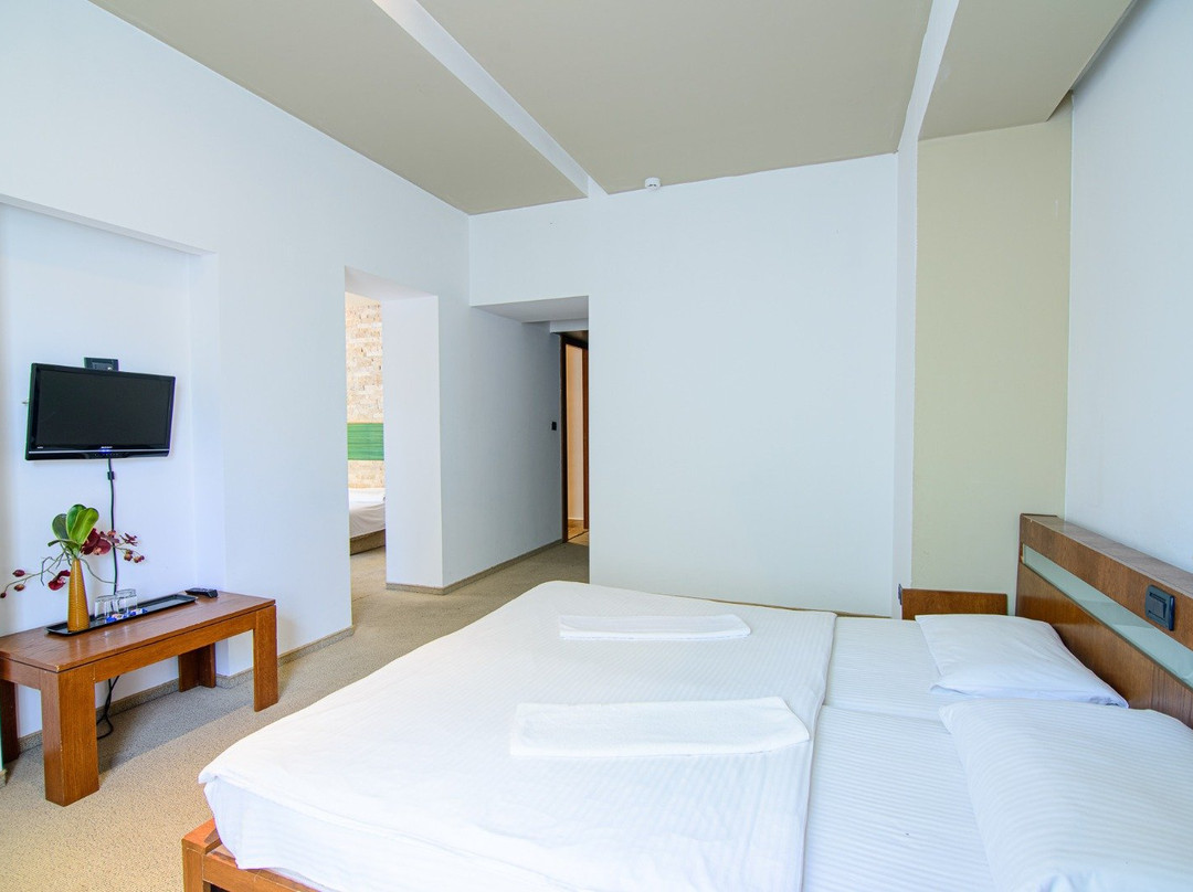 Hotel Vital主图