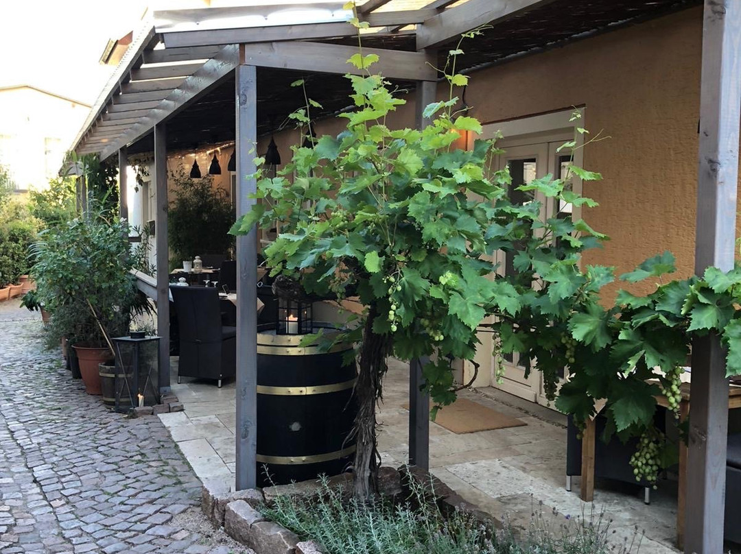 Hotel & Wellness Goldenes Fass Meißen主图