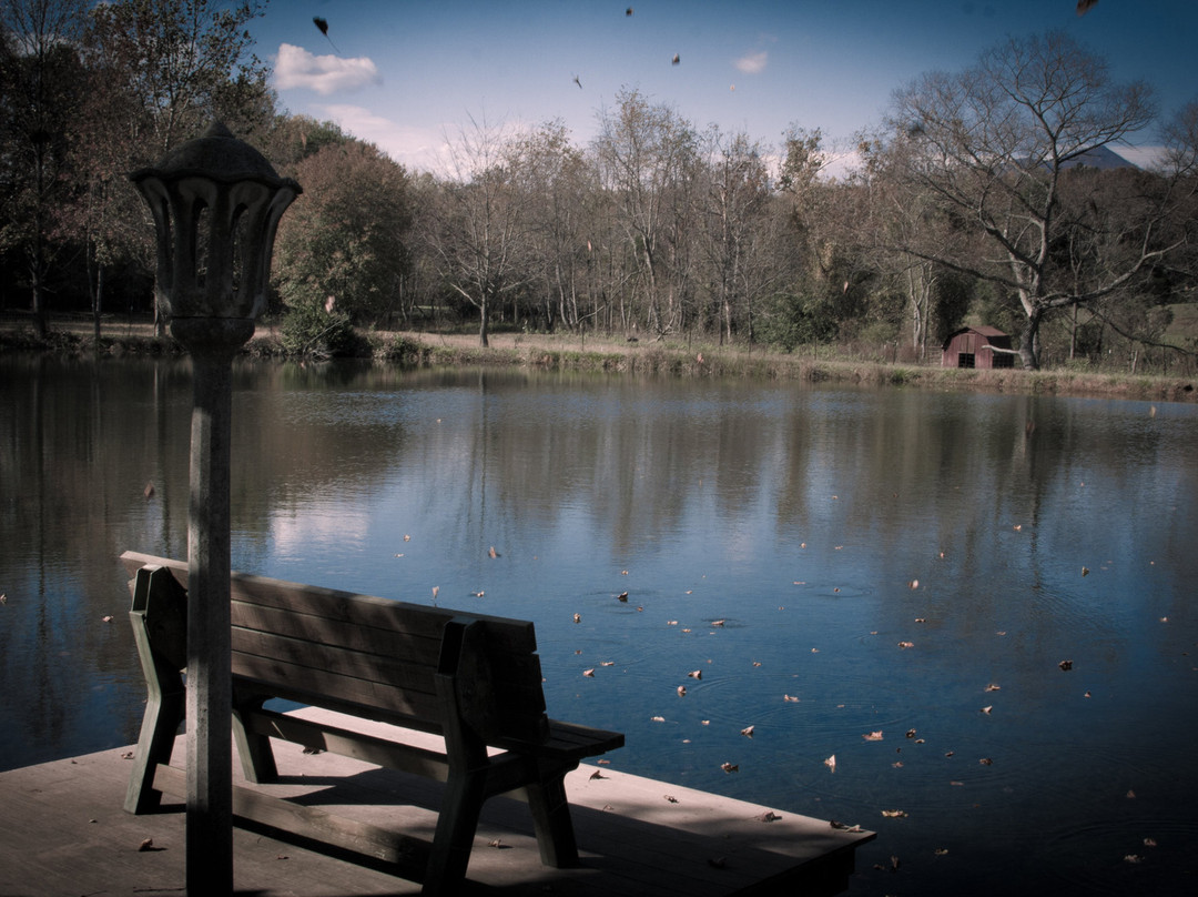 Vanquility Acres Inn & Peaksview Cottages主图