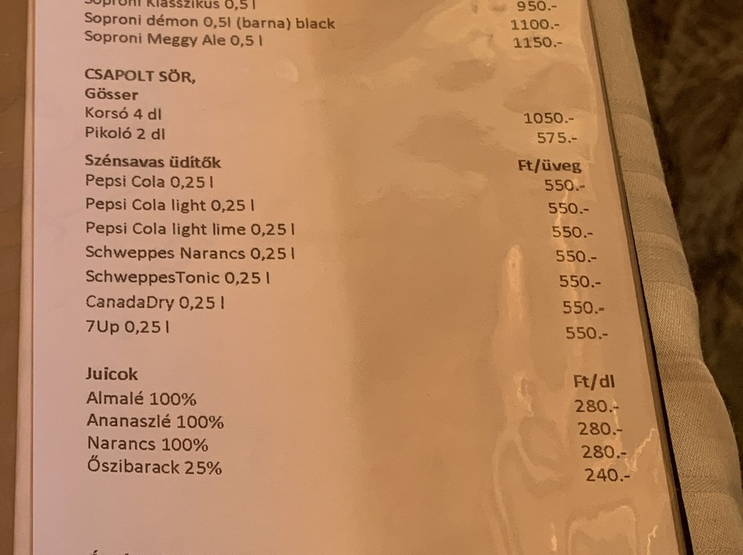 Bastya Wellness Hotel Superior主图