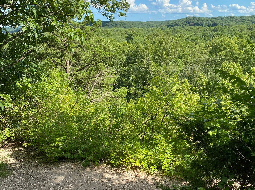 Castlewood State Park景点图片