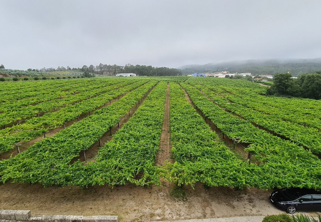 Bodegas Granbazán-Vilanova de Arousa必去景点