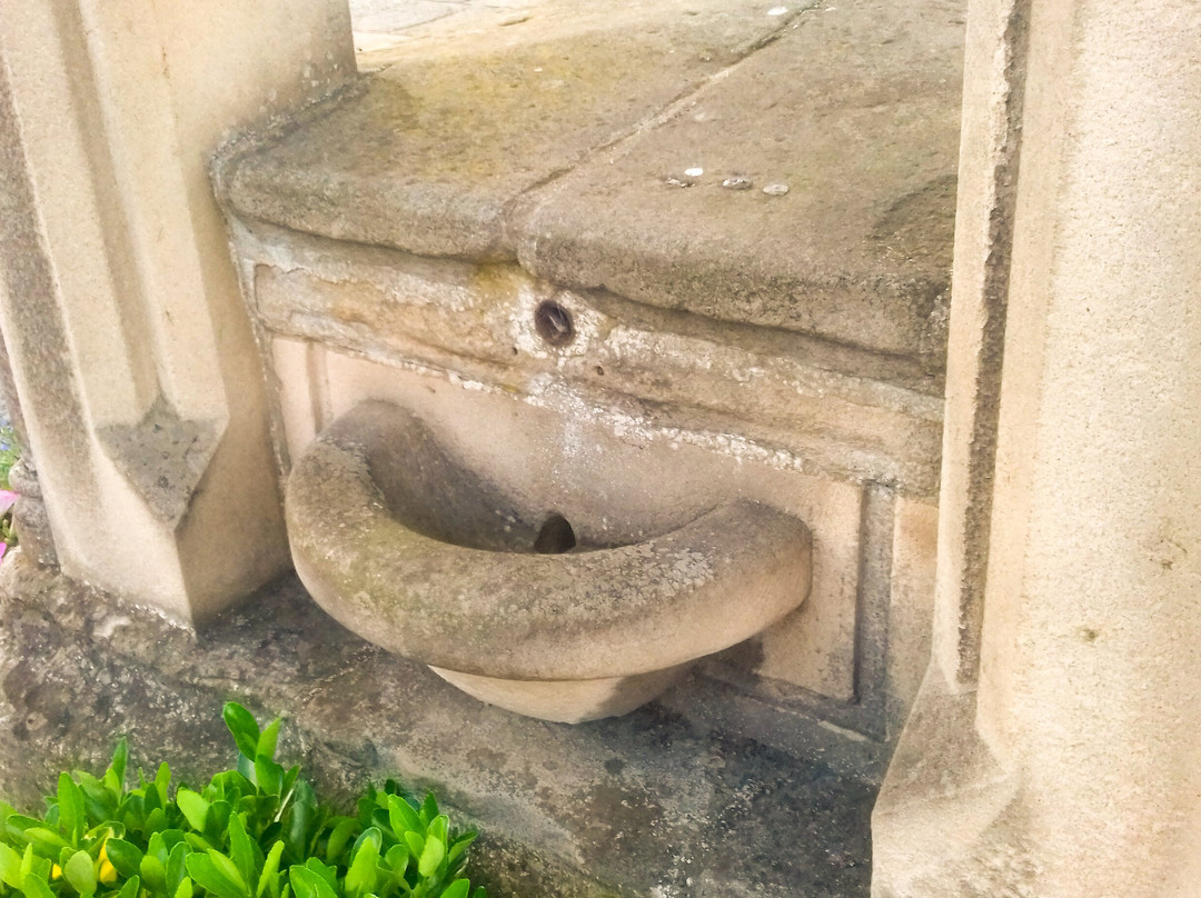 The Drinking Fountain
