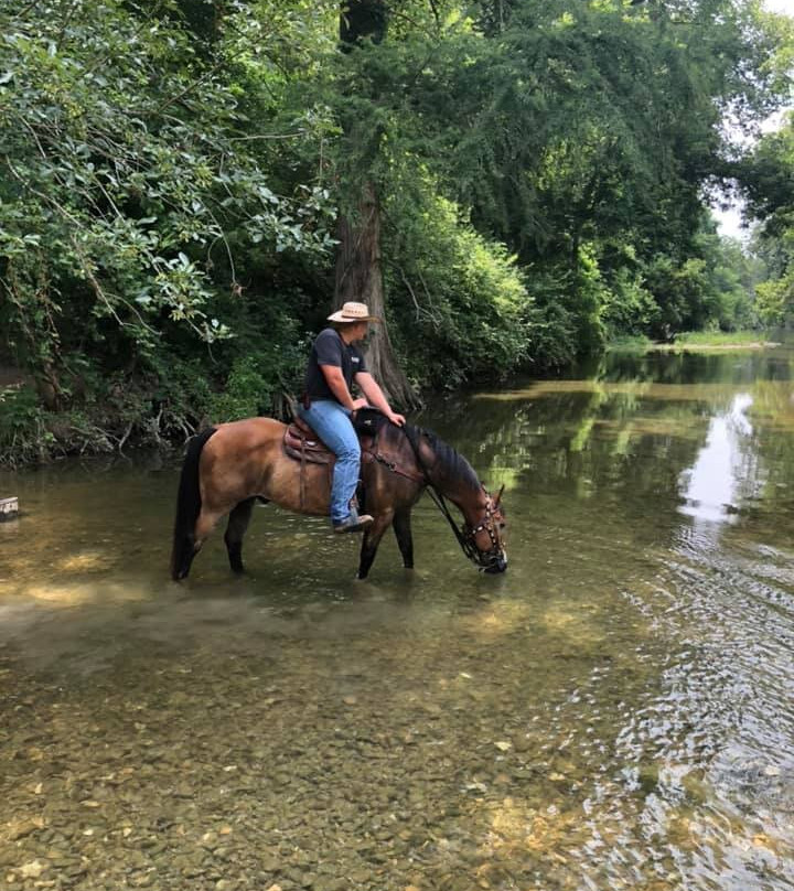 Lone Star Ranch-奥斯丁必去景点