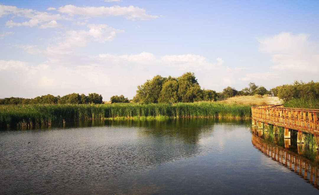 Caminos del Guadiana-Daimiel必去景点