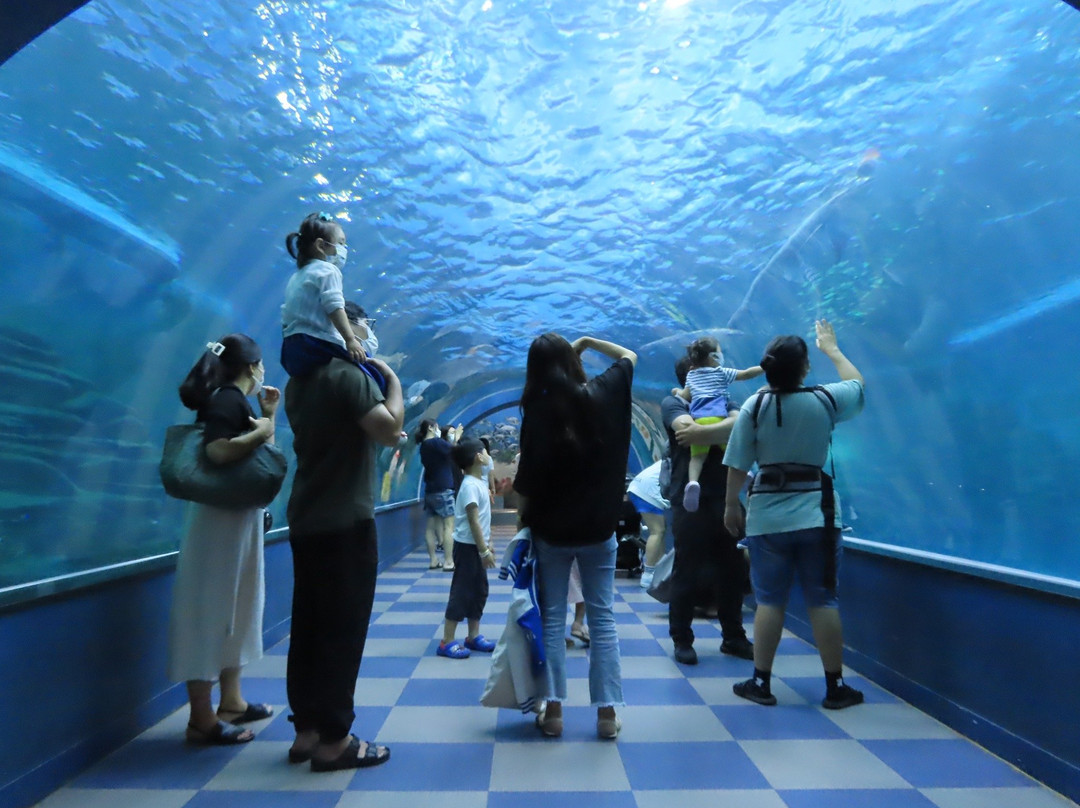 Jangsaengpo Special Whale Culture Zone-蔚山必去景点