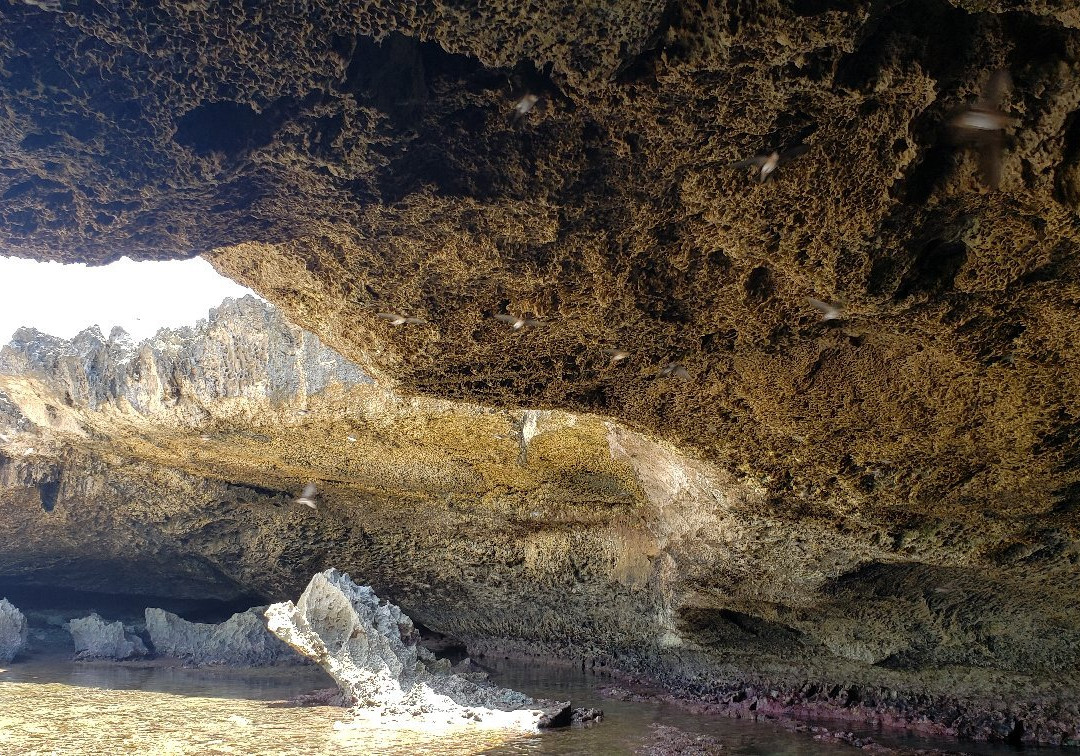 Playa La Cueva Las Golondrinas-Manati必去景点