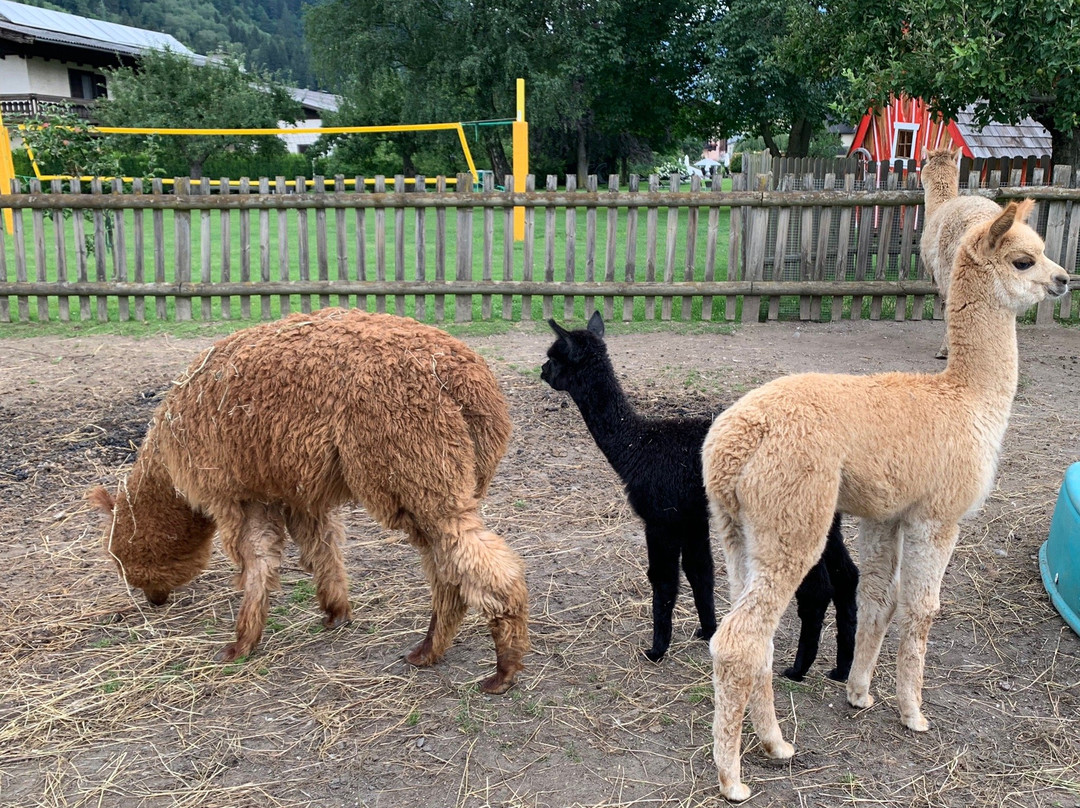 Familiengut Hotel Burgstaller主图