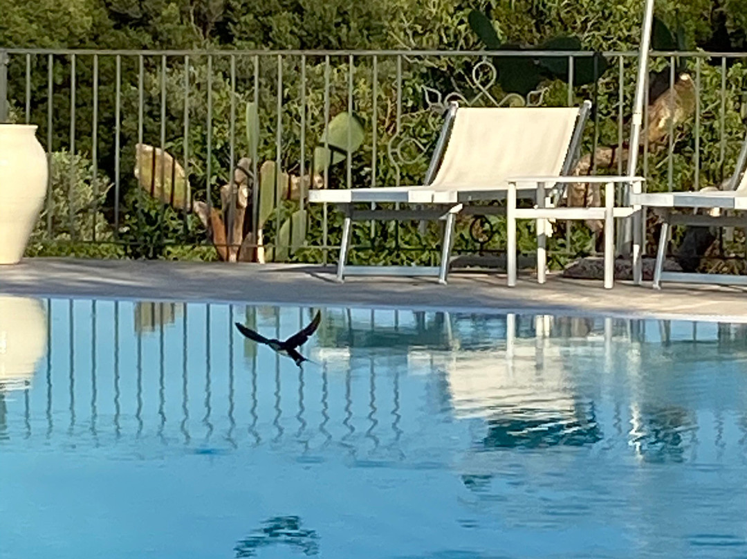 Hotel Masseria L'Ovile主图