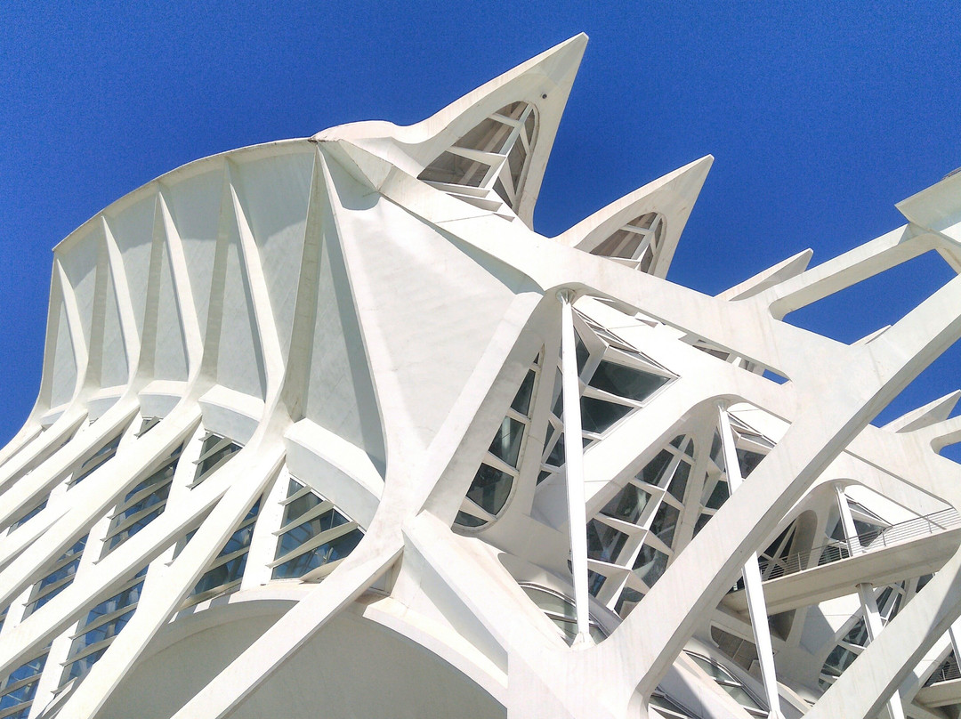 Integra-T Experience-巴伦西亚必去景点