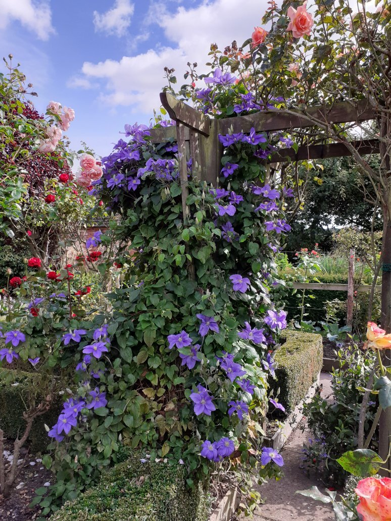 Marsh Farm Bed & Breakfast & Tea Room-官方