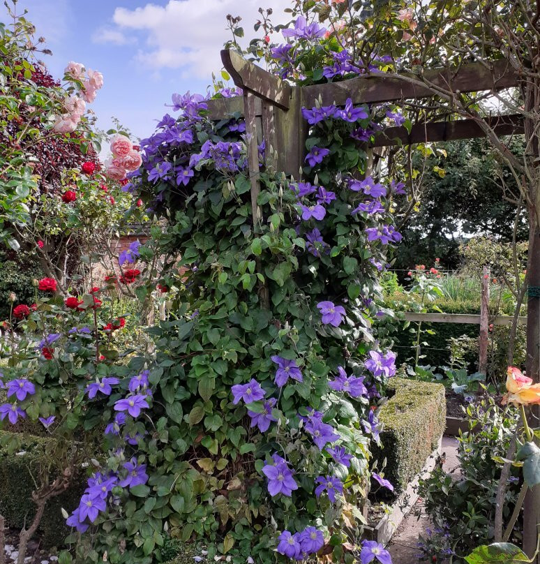 Marsh Farm Bed & Breakfast & Tea Room主图