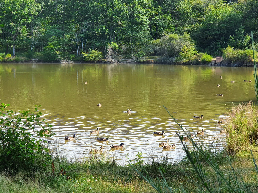 Forêt de Bouconne-Levignac必去景点