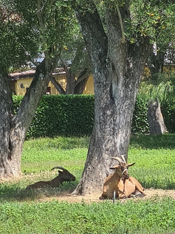 Hotel Residence Il Rifugio主图