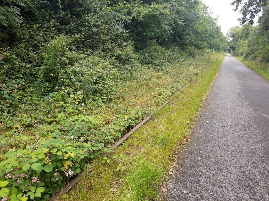 Old Rail Trail-Mullingar必去景点
