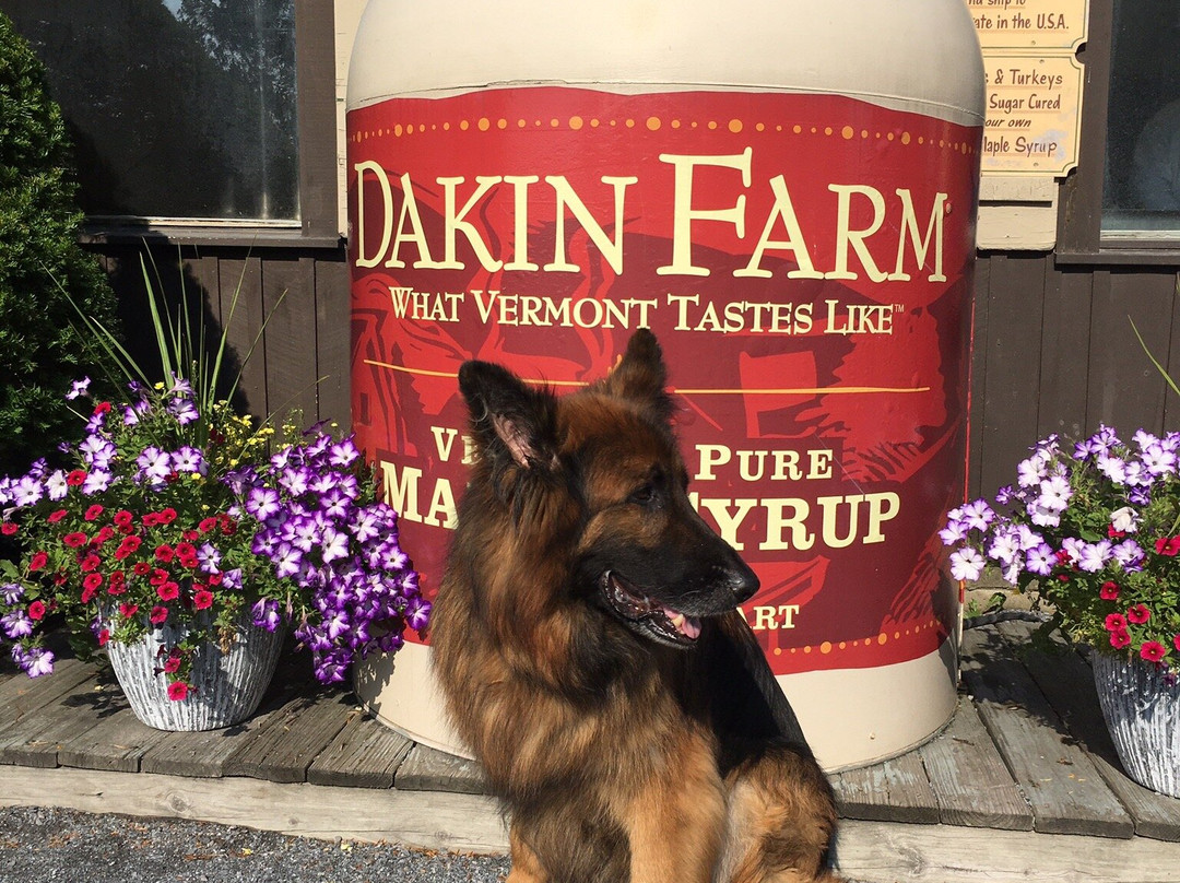 Dakin Farm-Ferrisburgh必去景点