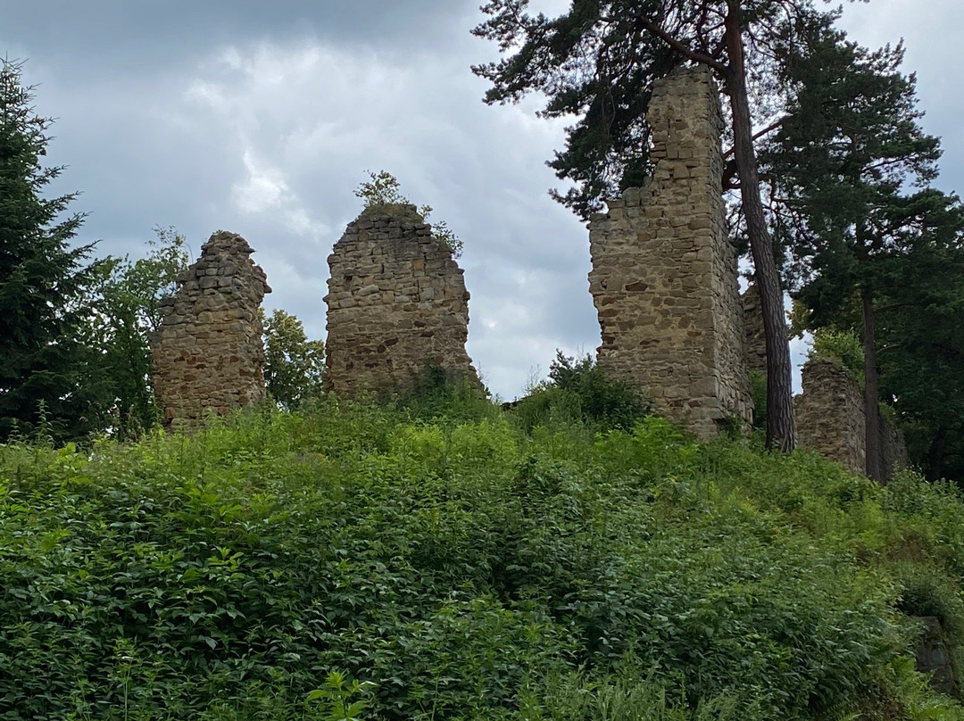 Chateau in Roznow景点图片