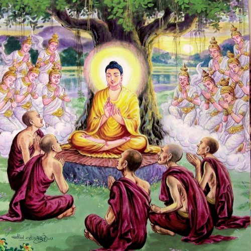 Go Ceylon Tours景点图片