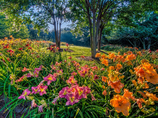Gibbs Gardens-Ball Ground必去景点