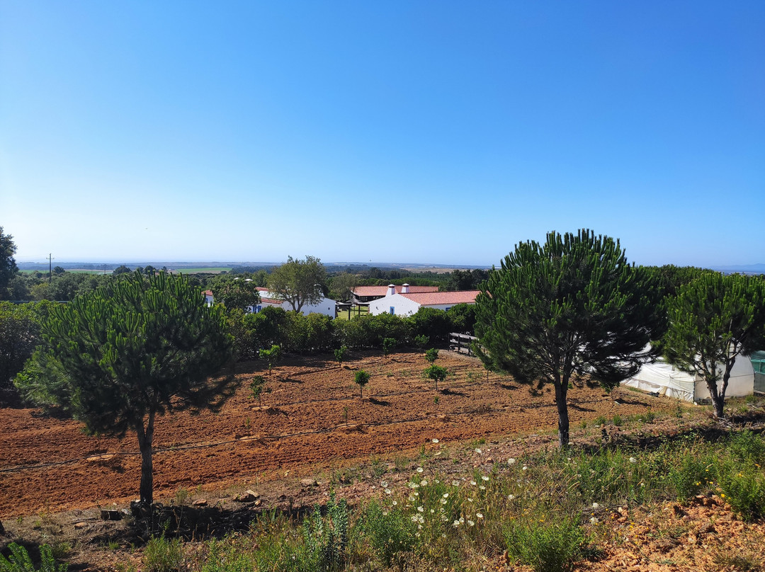 Monte Da Galrixa主图